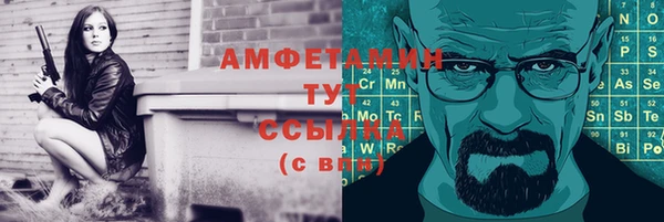 первитин Бикин