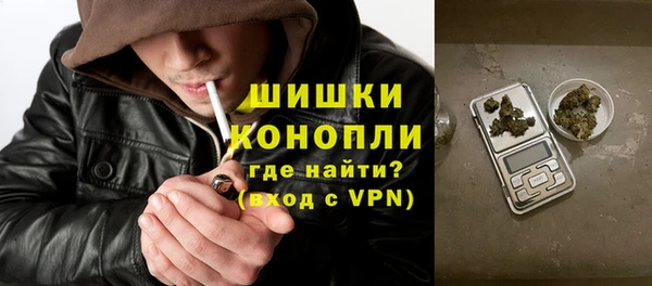 мдпв Билибино