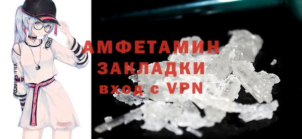 прущие грибы Абинск