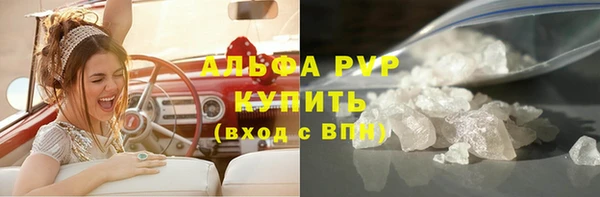 прущие грибы Абинск