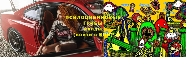 крисы Беслан