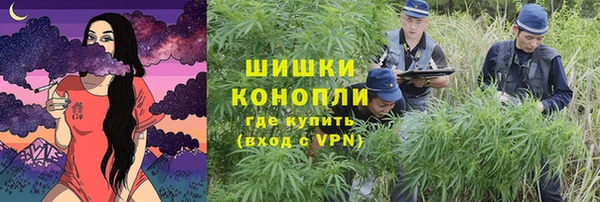прущие грибы Абинск