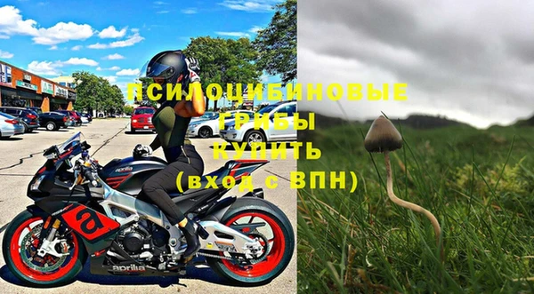 прущая мука Абаза